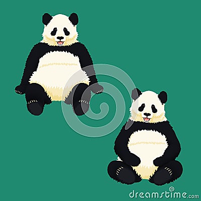 Giant pandas sitting, relaxing and smiling. Black and white bears. Endangered species. Vector Illustration