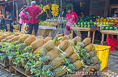 The giant pineapples Editorial Stock Photo