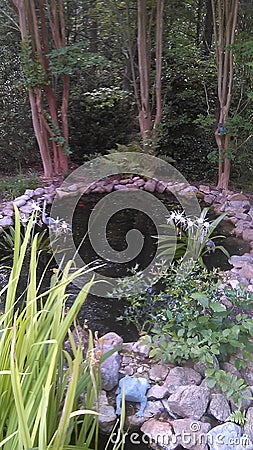 Giant pond in Gwinnett co. Ga Stock Photo