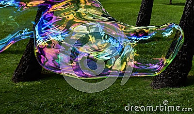 Giant Rainbow Bubble in the Park Stock Photo