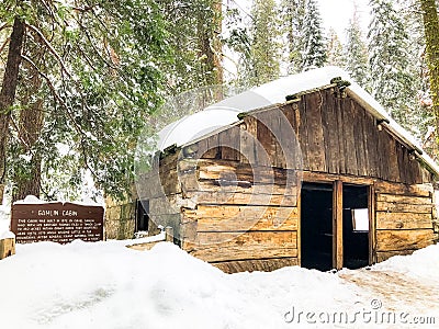 Gamblin Cabin in the Woods at Giant Sequoia National Park Stock Photo