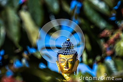 Giant Statue Of Lord Budhha In Ravangla Sikkim Stock Photo