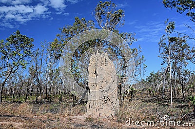 A giant termite mound in Kakadu National Park Stock Photo