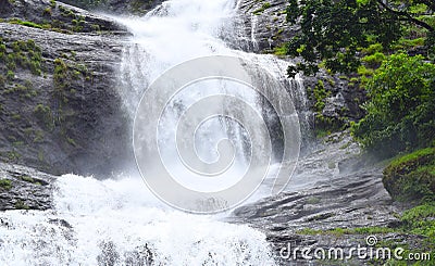 Giant Tiered Waterfall with Green Forest - Cheeyappara Waterfalls, Idukki, Kerala, India Stock Photo