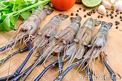Giant tiger prawn with tomatoes, key lime, chilies, lemongrass, Stock Photo