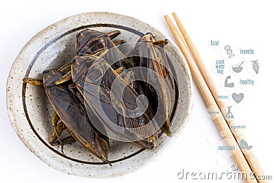 Giant Water Bug is edible insect for eating as food Insects cooking deep-fried snack and media symbol icons nutrition on white Stock Photo