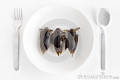 Giant Water Bug is edible insect for eating as food Insects cooking deep-fried snack on white plate with fork on gray background, Stock Photo