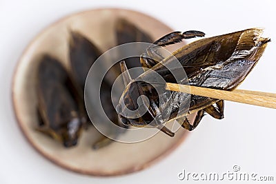 Giant Water Bug is edible insect for eating as food Insects deep-fried crispy snack on plate and chopsticks on white background, Stock Photo