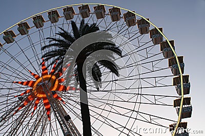 Giant wheel and palm tree Stock Photo