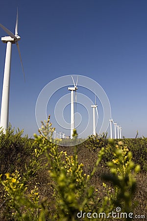 giant windmills Stock Photo