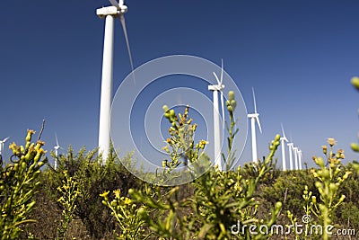 giant windmills Stock Photo