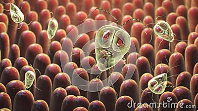 Giardia lamblia protozoan, the causative agent of giardiasis Cartoon Illustration