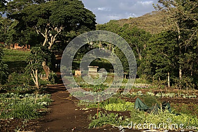 Gibb's farm, Stock Photo