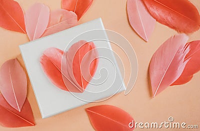 Gift box with bright feather heartsn Stock Photo