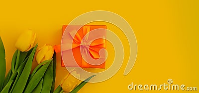 Gift box flower tulip on colored background Stock Photo