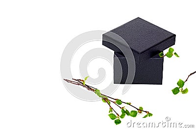 Gift box with open lids, birch twigs with green leaves on a white background. Stock Photo