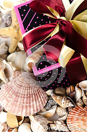 Gift box and shells Stock Photo