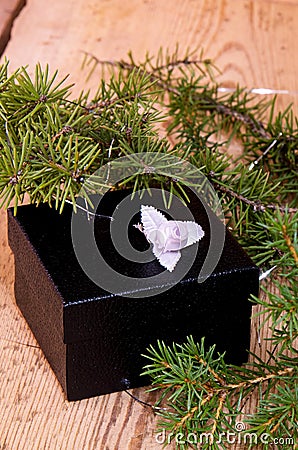 Gift boxes with fir branches Stock Photo