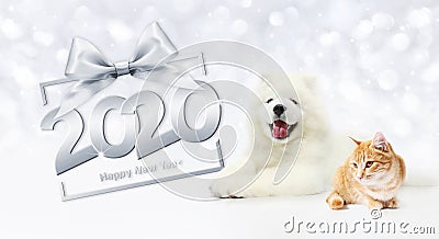 Gift card, dog and cat 2020 happy new year text on package frame with silver ribbon bow on christmas lights background Stock Photo