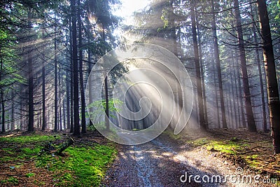 Gift of light - God beams Stock Photo