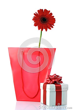 Gift and red flower Stock Photo