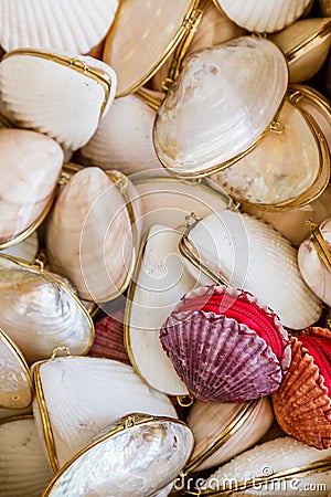 Gifts from Exotic Seashell and Cockleshell Piled Together Stock Photo