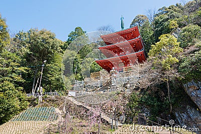 Three Storied Pagoda at Gifu Park in Gifu, Japan. The Pagoda originally built in 1917 Stock Photo