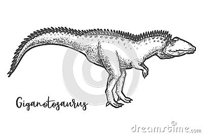 Giganotosaurus dino sketching. Sketch of dinosaur vector Vector Illustration