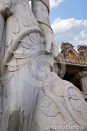 A gigiantic monolithic statue of Bahubali, also known as Gomateshwara, Vindhyagiri Hill, Shravanbelgola Stock Photo