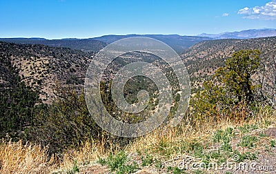 Gila National Forest in New Mexico Stock Photo