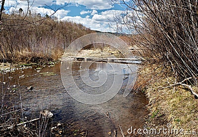 Gila National Forest in New Mexico Stock Photo