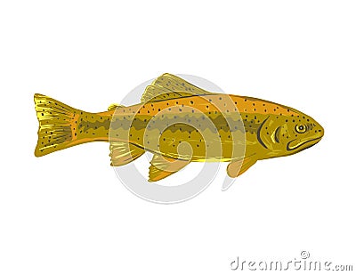 Gila Trout or Oncorhynchus Gilae Side View WPA Art Stock Photo