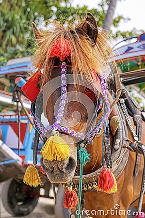 Gili Air Island in the Indian Ocean. 03.01.2017 Pony taxi on the island. Private transport. On the island there is no equipment Editorial Stock Photo