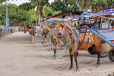 Gili Air Island in the Indian Ocean. 03.01.2017 Pony taxi on the island. Private transport. On the island there is no equipment Editorial Stock Photo