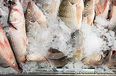 Gilt-head bream dorade on ice at the city market Stock Photo