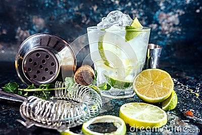 Gin tonic alcoholic cocktail with ice and mint. Cocktail drinks served at restaurant, pub or bar Stock Photo