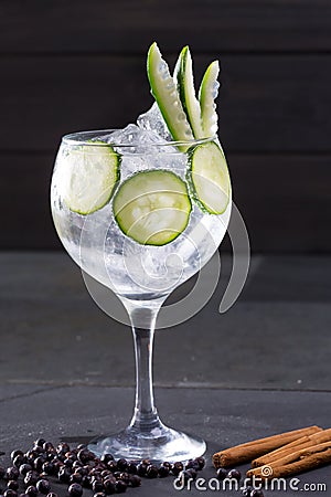 Gin tonic cocktail with cucumber and cinnamon and juniper Stock Photo