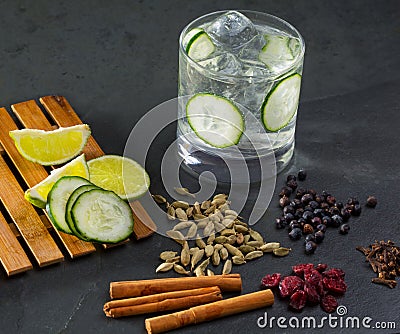 Gin tonic cocktail with cucumber cloves cardamom cinnamon and juniper Stock Photo