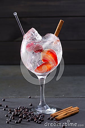 Gin tonic cocktail with strawberries cinnamon and juniper Stock Photo