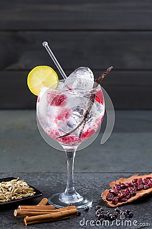 Gin tonic cocktail with vanilla raspberry lima slice and ice Stock Photo