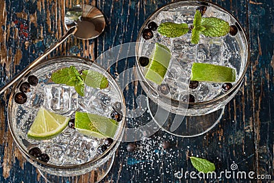 Gin and Tonic with Juniper Berries Stock Photo