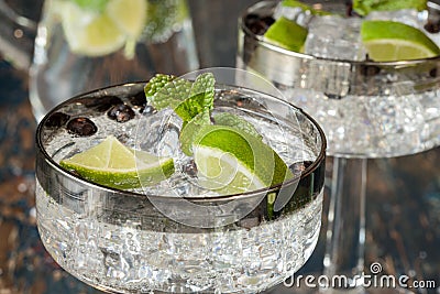 Gin and Tonic with Juniper Berries Stock Photo