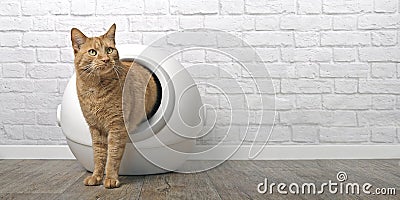 Ginger cat going out of a self-cleaning Litter box. Stock Photo