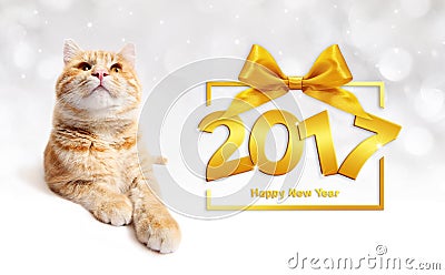 Ginger cat and happy new year 2017 text with ribbon bow Stock Photo