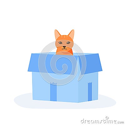 Ginger cat sits in box. Cute indoor pet plays in paper case. Hiding and resting place for fluffy fiend. Flat style Vector Illustration