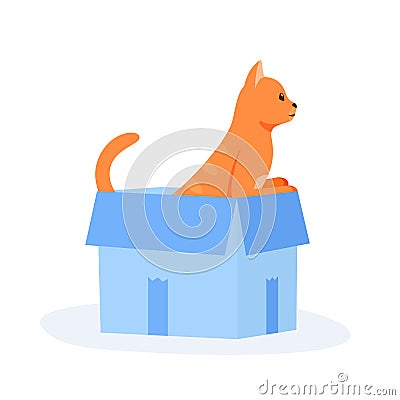 Ginger cat sits in box. Cute indoor pet plays in paper case. Hiding and resting place for fluffy fiend. Flat style Vector Illustration