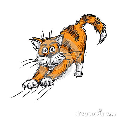 Ginger cat Vector Illustration