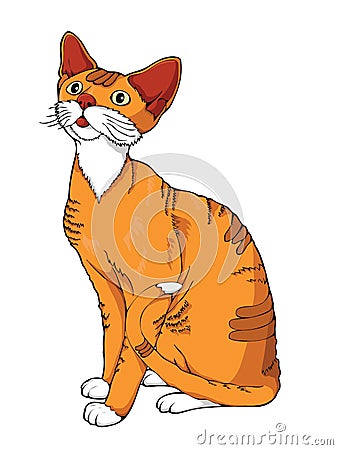 Ginger cat on a white background. Vector Illustration