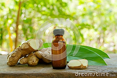 Ginger essential oil in bottle and fresh ginger on rustic wooden with blur background on sunny day. Stock Photo