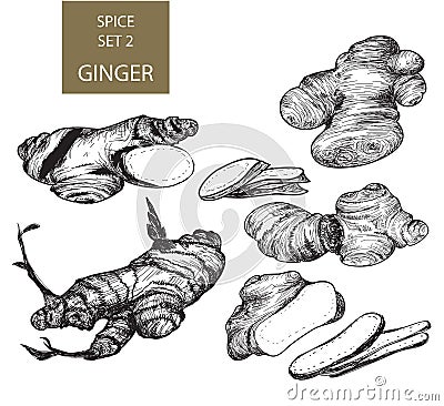 Ginger Stock Photo